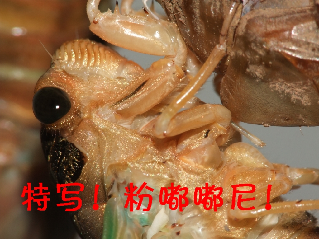 DSCF3622.JPG