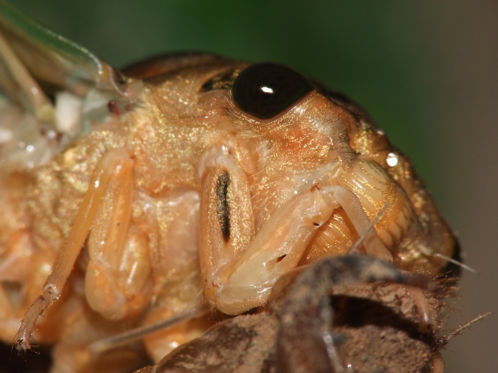 DSCF3630.JPG