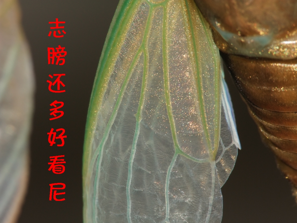DSCF3639.JPG