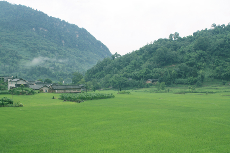 麻柳风光.jpg