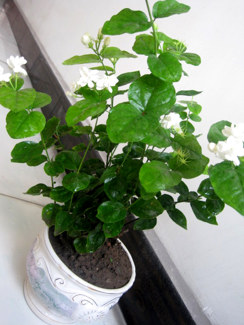 照片 121.jpg