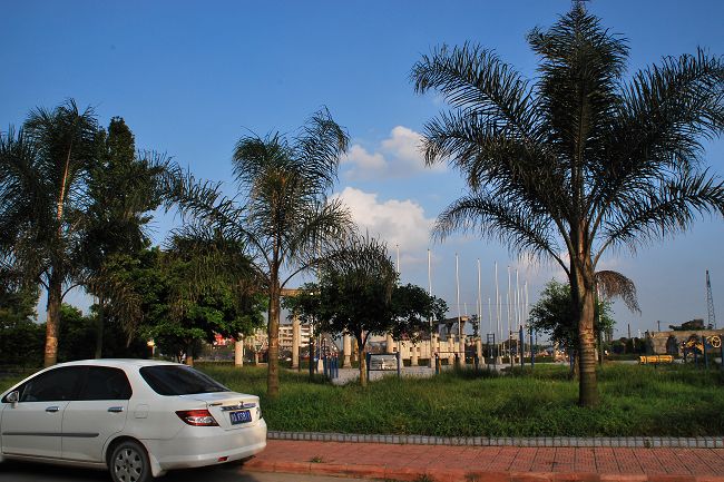 DSC_0113.jpg