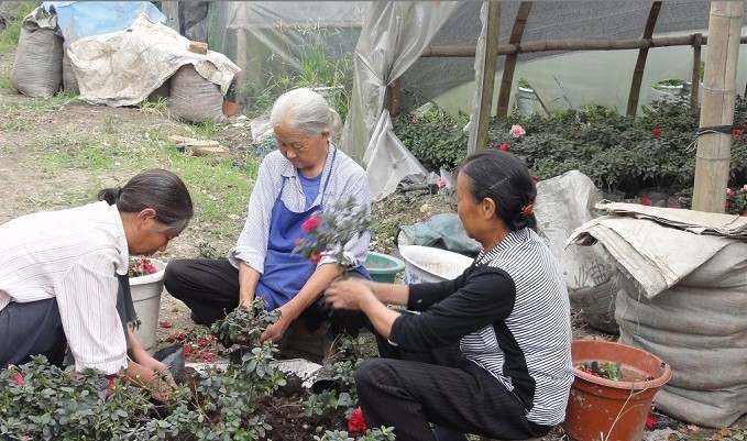 花农备战国庆节.jpg