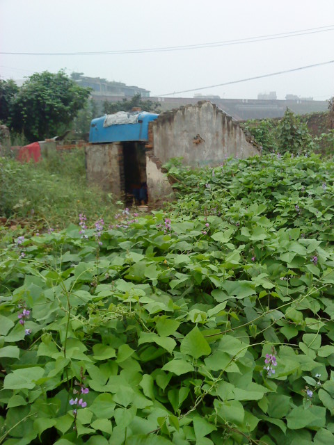 DSC00376.JPG