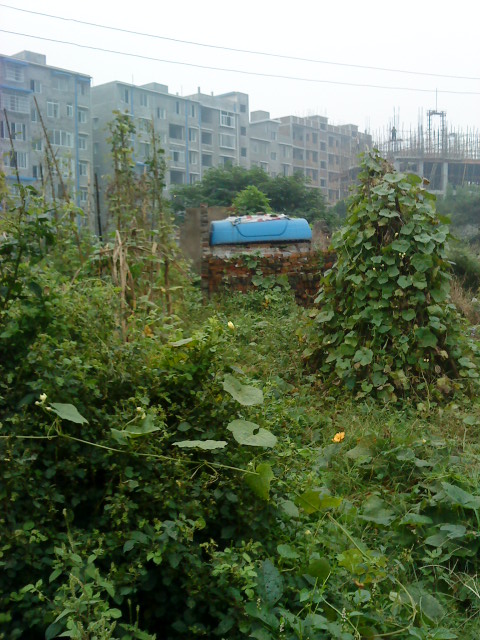 DSC00378.JPG