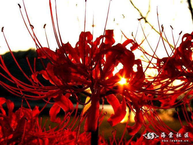 79_105679_3eea2785e33a983.jpg