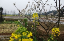 春暖花开，准备开干了