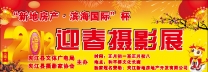 “新地房产·滨海国际杯”2012迎春影展