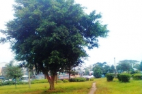 滨江广场