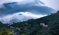 云雾中白果村
