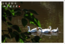 小品一组