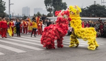 龙腾狮舞闹元宵