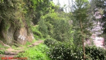 深山古阶