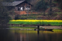 踏马（村）寻春