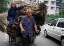 回家的路------街拍一张