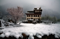 丹巴春雪图