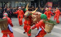 闹元宵后续照片（14张）