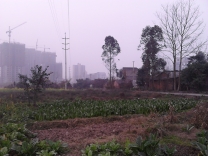 城市和乡村