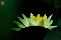 金鹰山庄一日游
