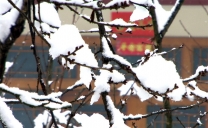 祝大家新春愉快！