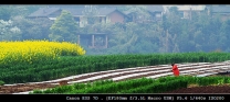 春到坝上（茅坝）