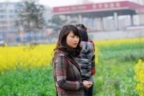 春光无限好