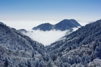 慕雪千山