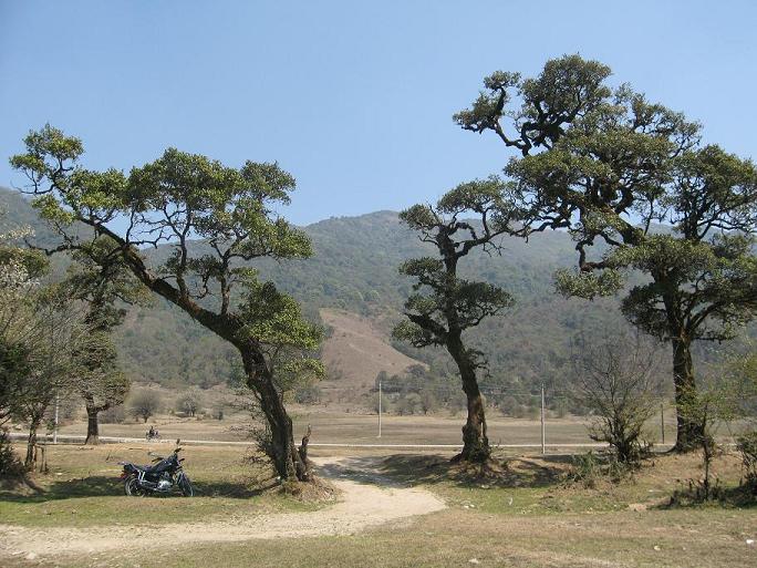 黄草坝试车.JPG