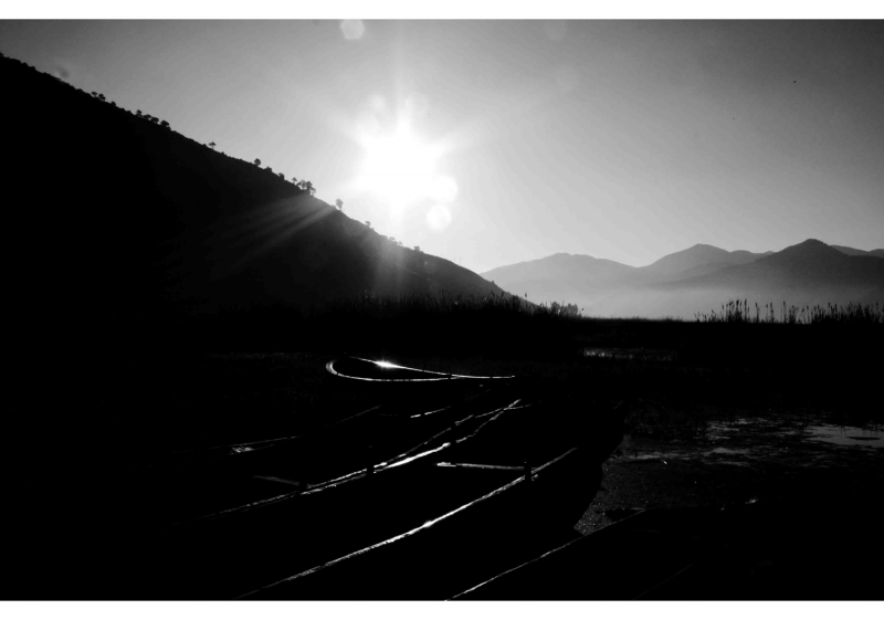 _MG_6654 .PNG