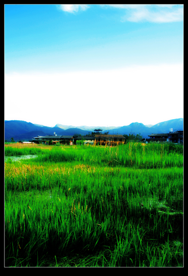 _MG_5998.PNG