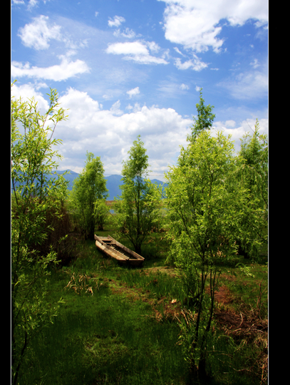 _MG_6566.PNG