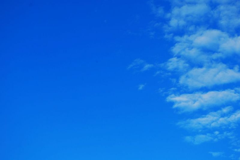 DSC_0096.jpg