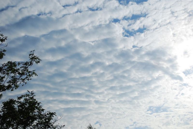 DSC_0032.jpg