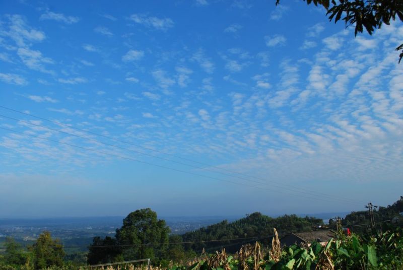 DSC_0036.jpg