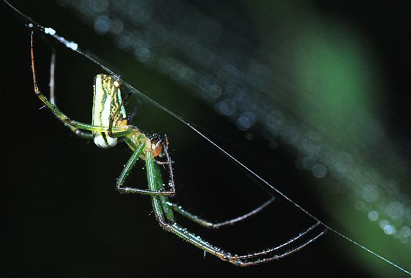 DSC_0378.jpg