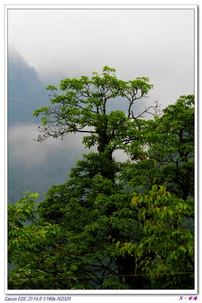 二郎山 (2).jpg
