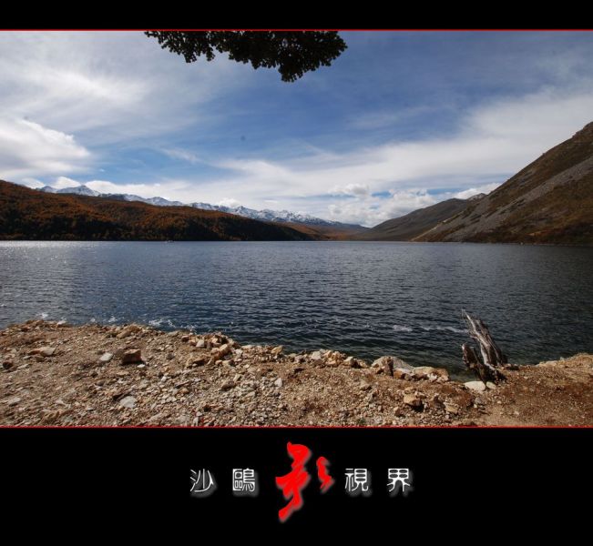 DSC_2372.jpg