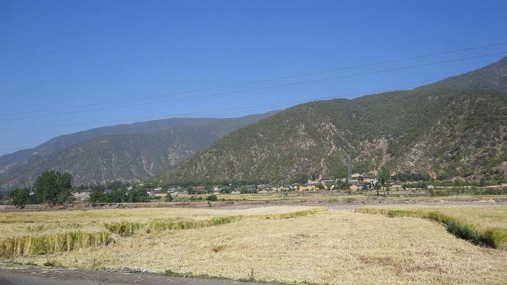 冕山春收 (4).JPG