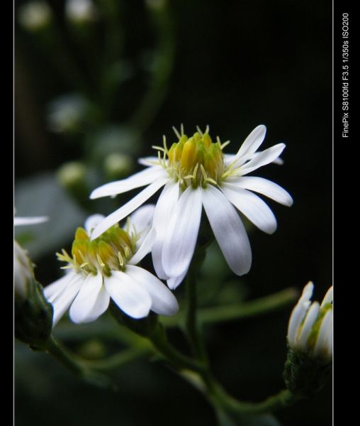 DSCF1892.JPG