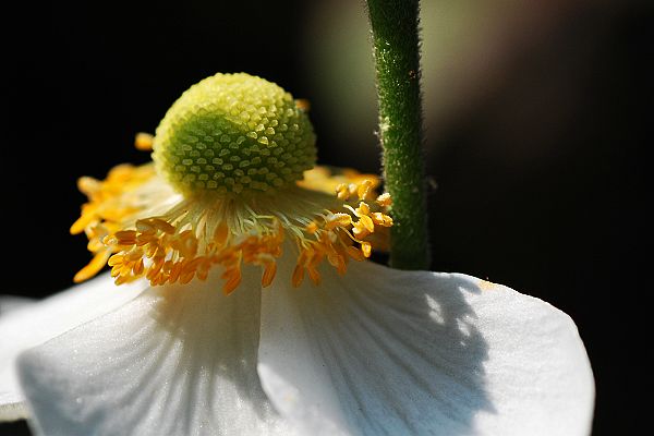 DSC_0256.jpg