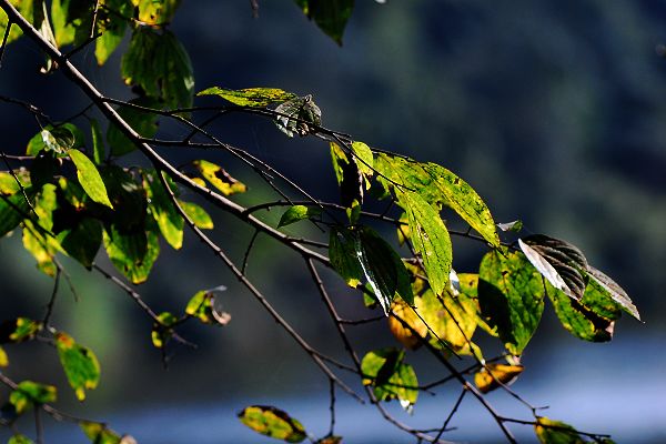 DSC_0272.jpg