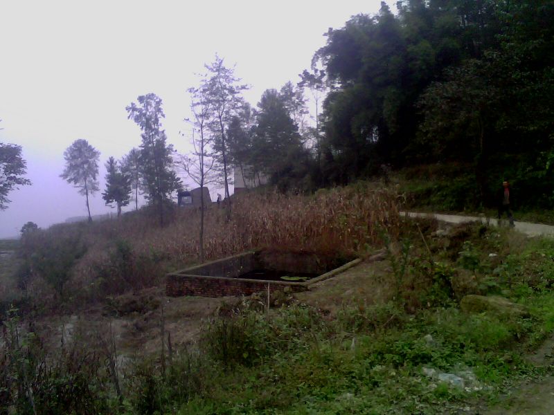 IMG0084A.jpg