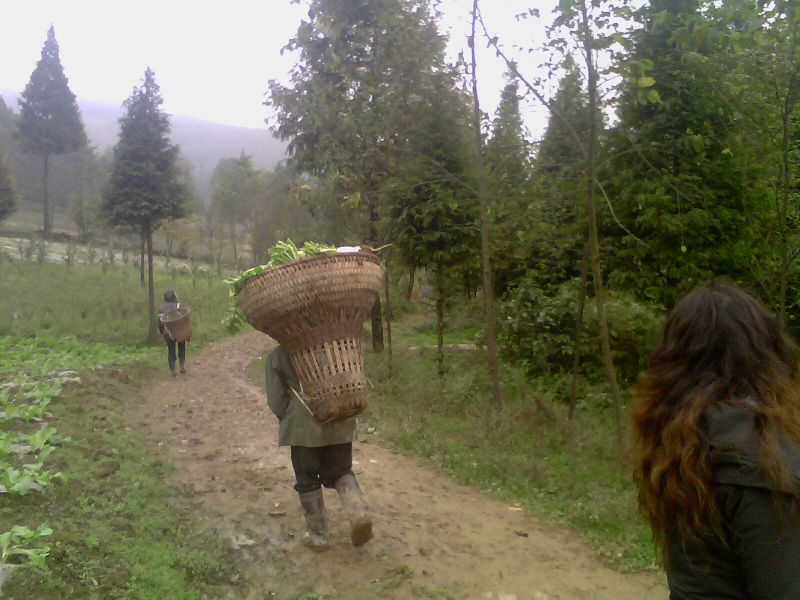 IMG0092A.jpg
