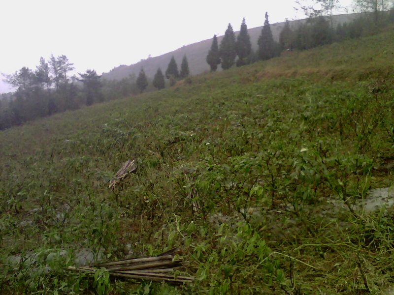 IMG0097A.jpg