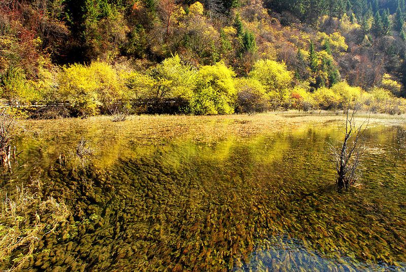 DSC_0134a.jpg