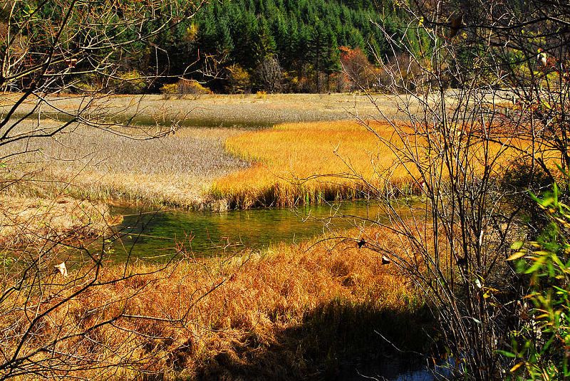 DSC_0153a.jpg