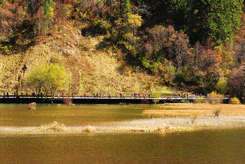 DSC_0166a.jpg