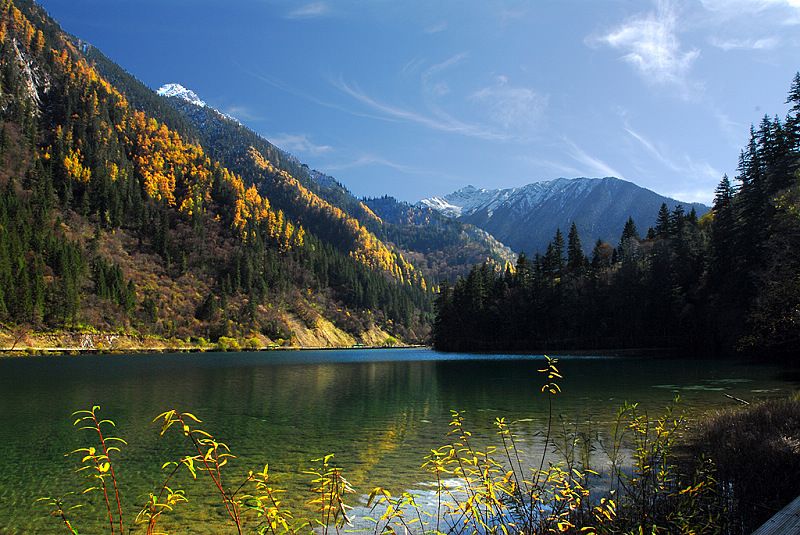DSC_0186a.jpg