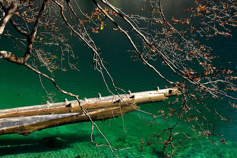 DSC_0246a.jpg