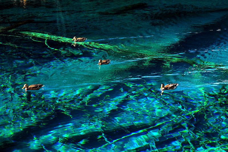 DSC_0316a.jpg